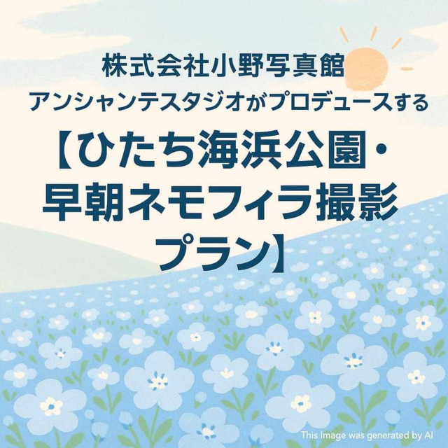 株式会社小野写真館 アンシャンテスタジオがプロデュースする 【ひたち海浜公園・早朝ネモフィラ撮影プラン】
