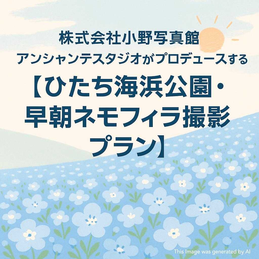 株式会社小野写真館 アンシャンテスタジオがプロデュースする 【ひたち海浜公園・早朝ネモフィラ撮影プラン】