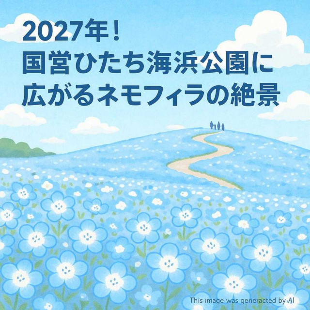 2027年！国営ひたち海浜公園に広がるネモフィラの絶景